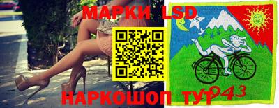 ПСИЛОЦИБИНОВЫЕ ГРИБЫ Краснокаменск