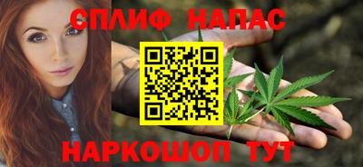 крисы Краснодар